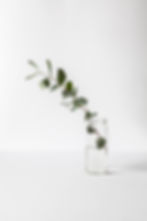 Branch in a Glass Jar